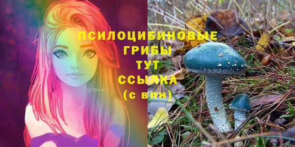 гашик Нефтекумск