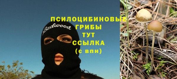 гашик Нефтекумск