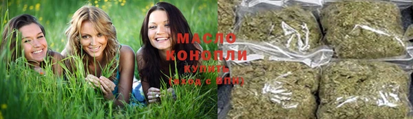 крисы Нефтегорск