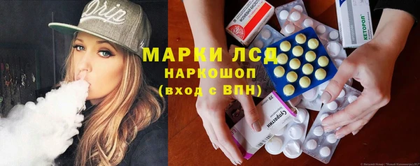 гашик Нефтекумск